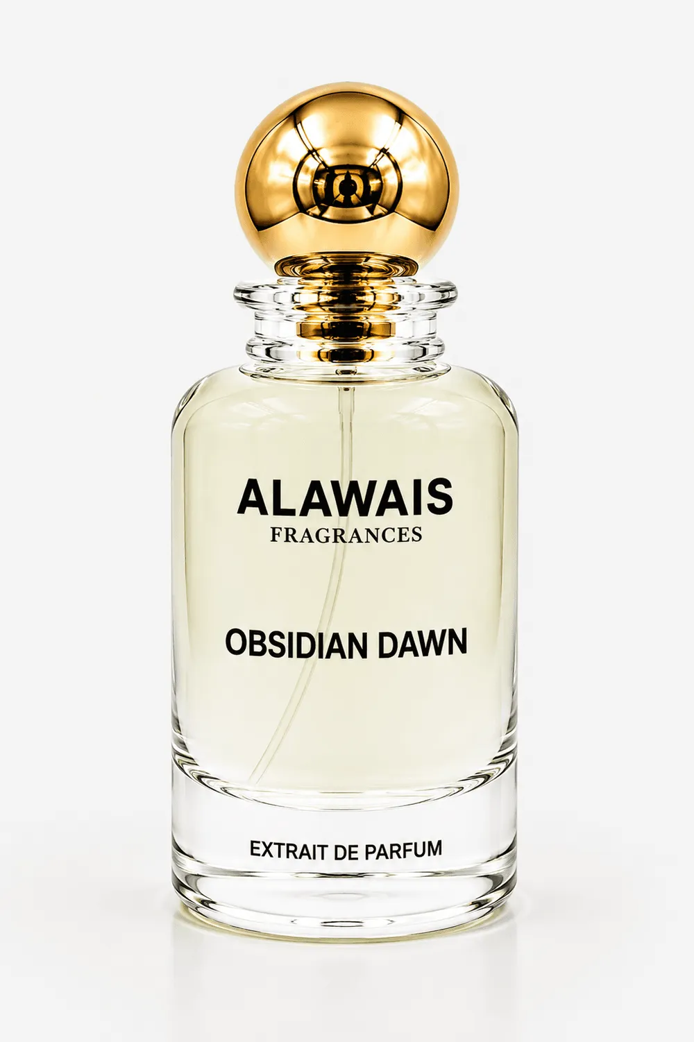 Obsidian Dawn – Inspired by YSL Y EDP
