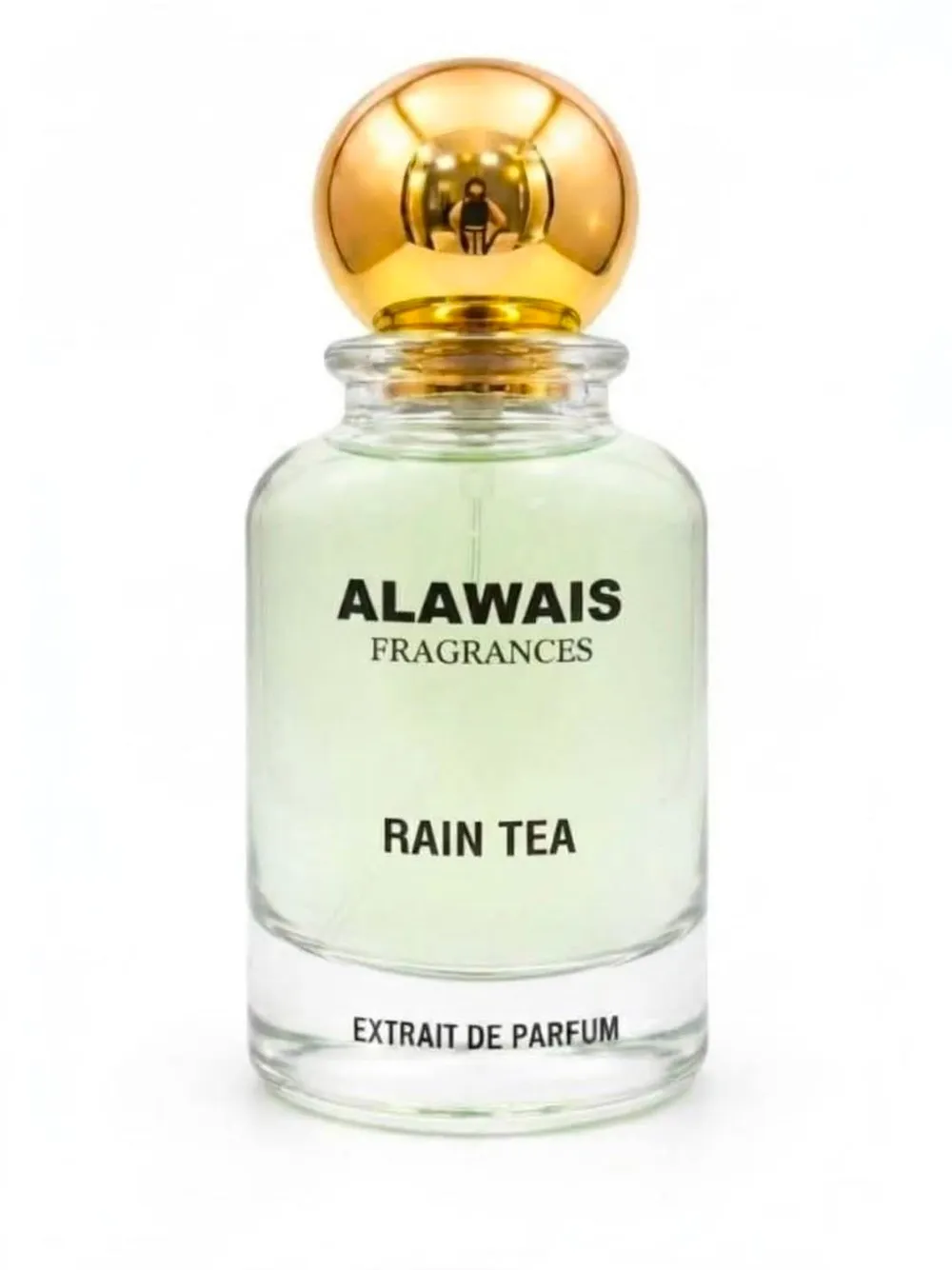 RAIN TEA INSPIRED BY LV RAIN TEA