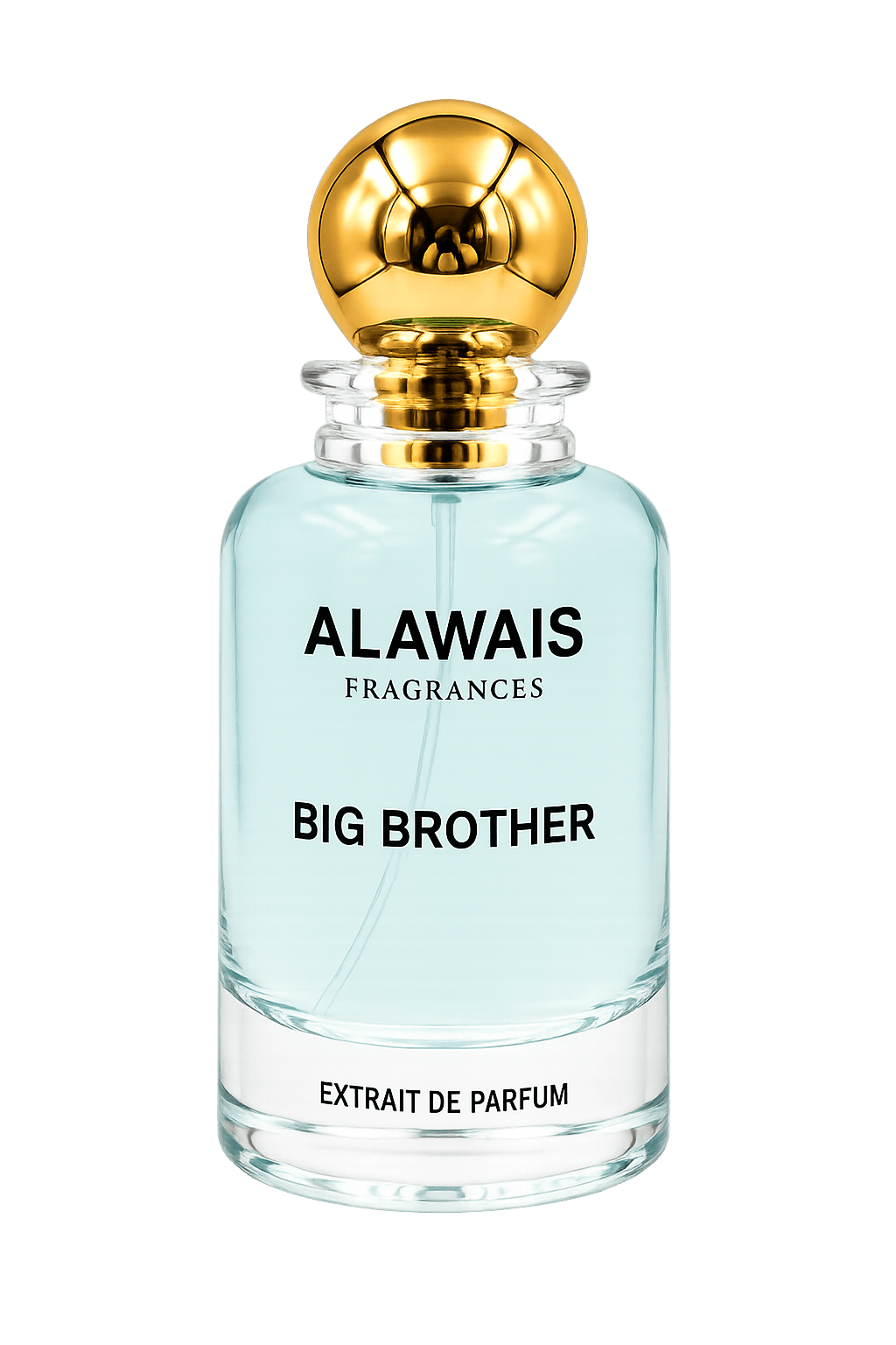 Big Brother